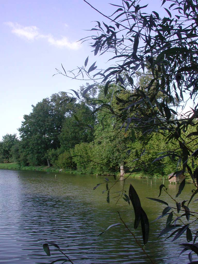 Le plan d'eau des Lilas