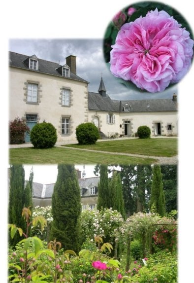 La Roseraie de la Cour La Roseraie de la Cour