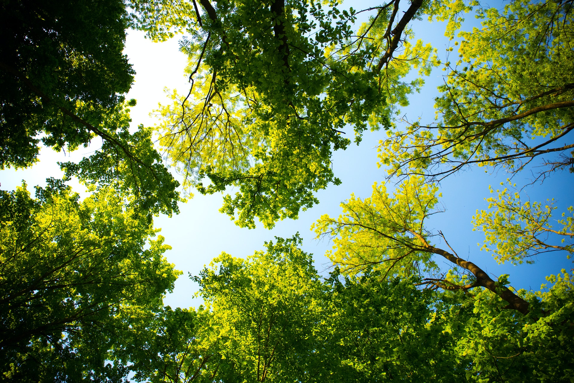Patrimoine & Environnement