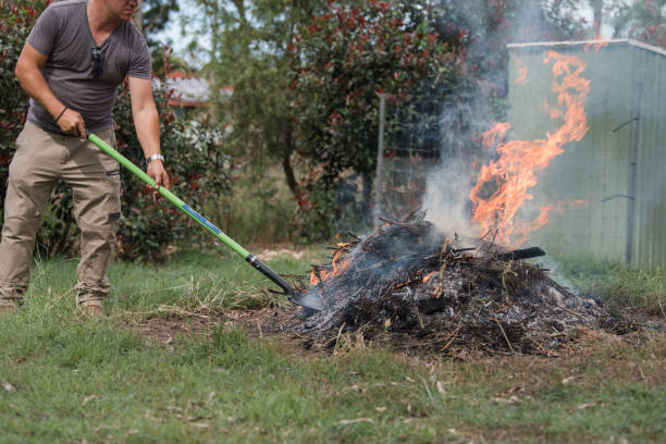Règlementation sur les déchets et brûlage de déchets verts