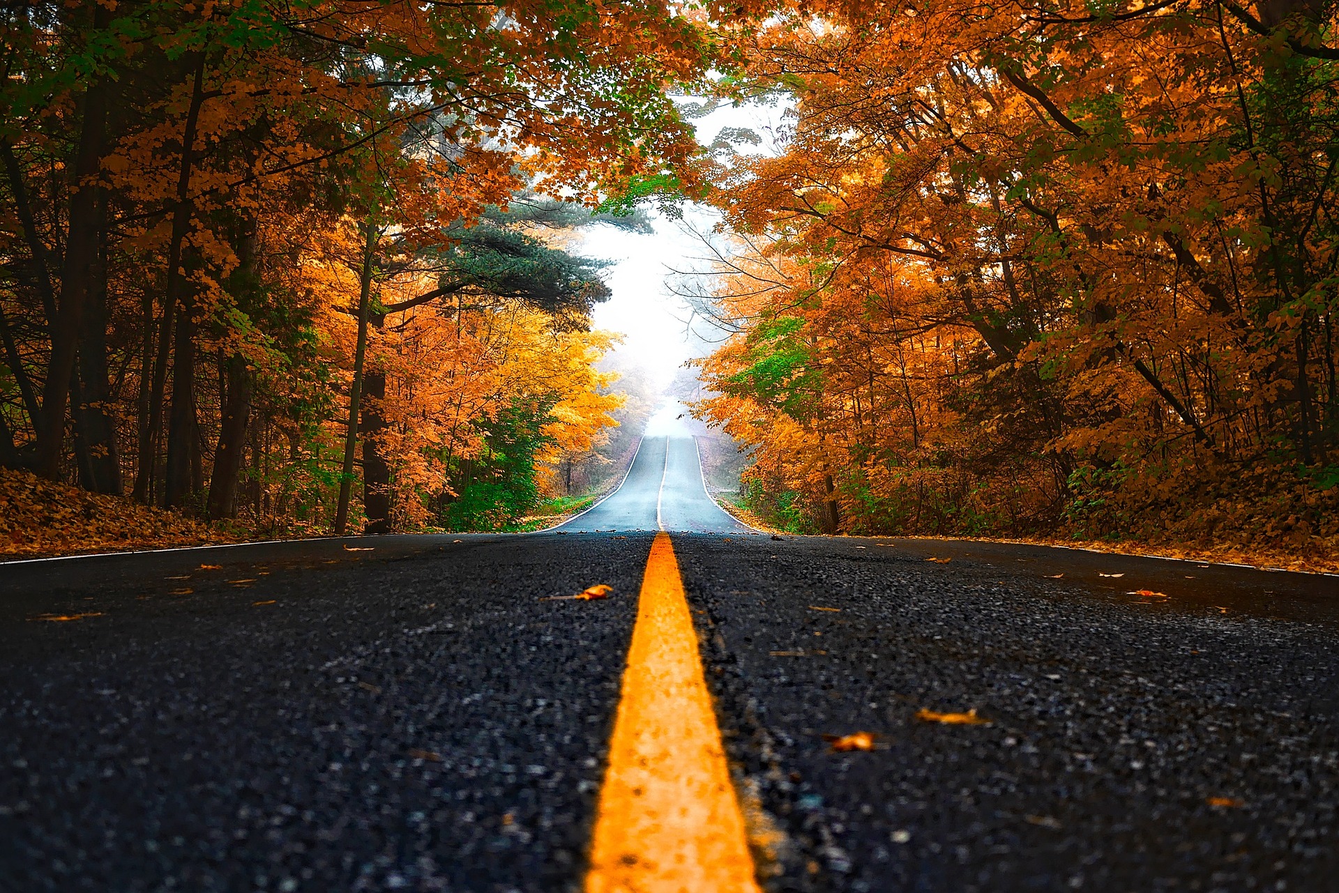 Route