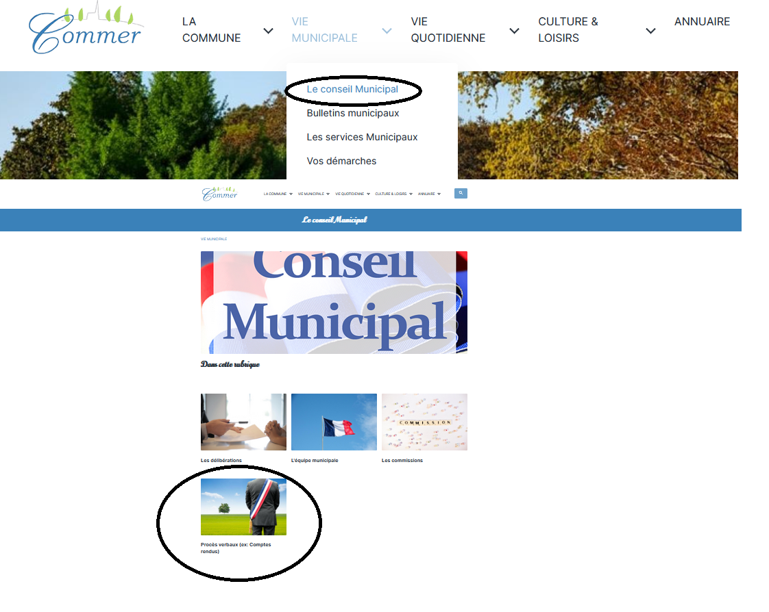 oragnigramme compte rendus