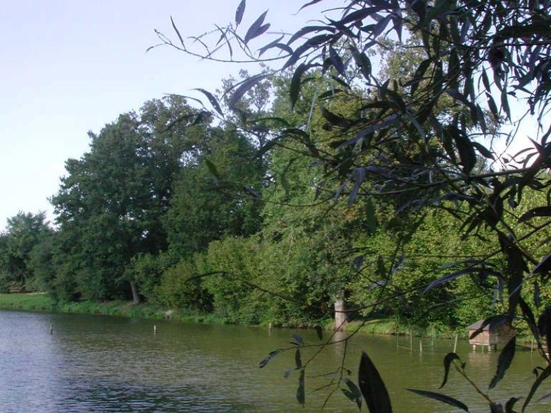 Le plan d'eau des Lilas