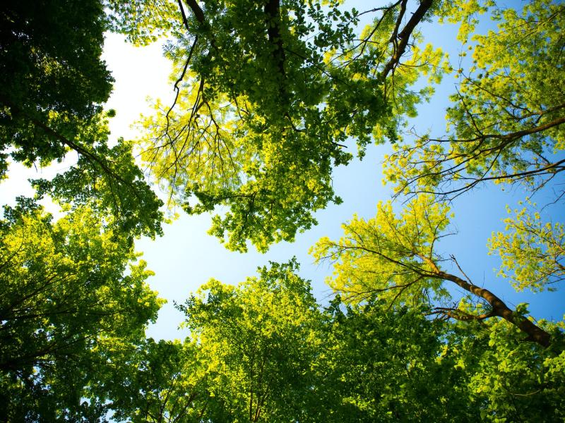 Patrimoine & Environnement