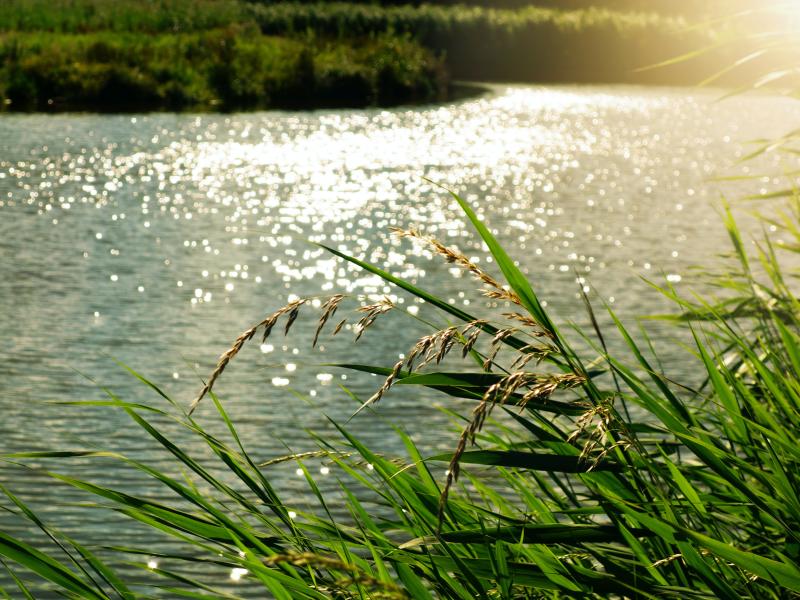 Eau Assainissement